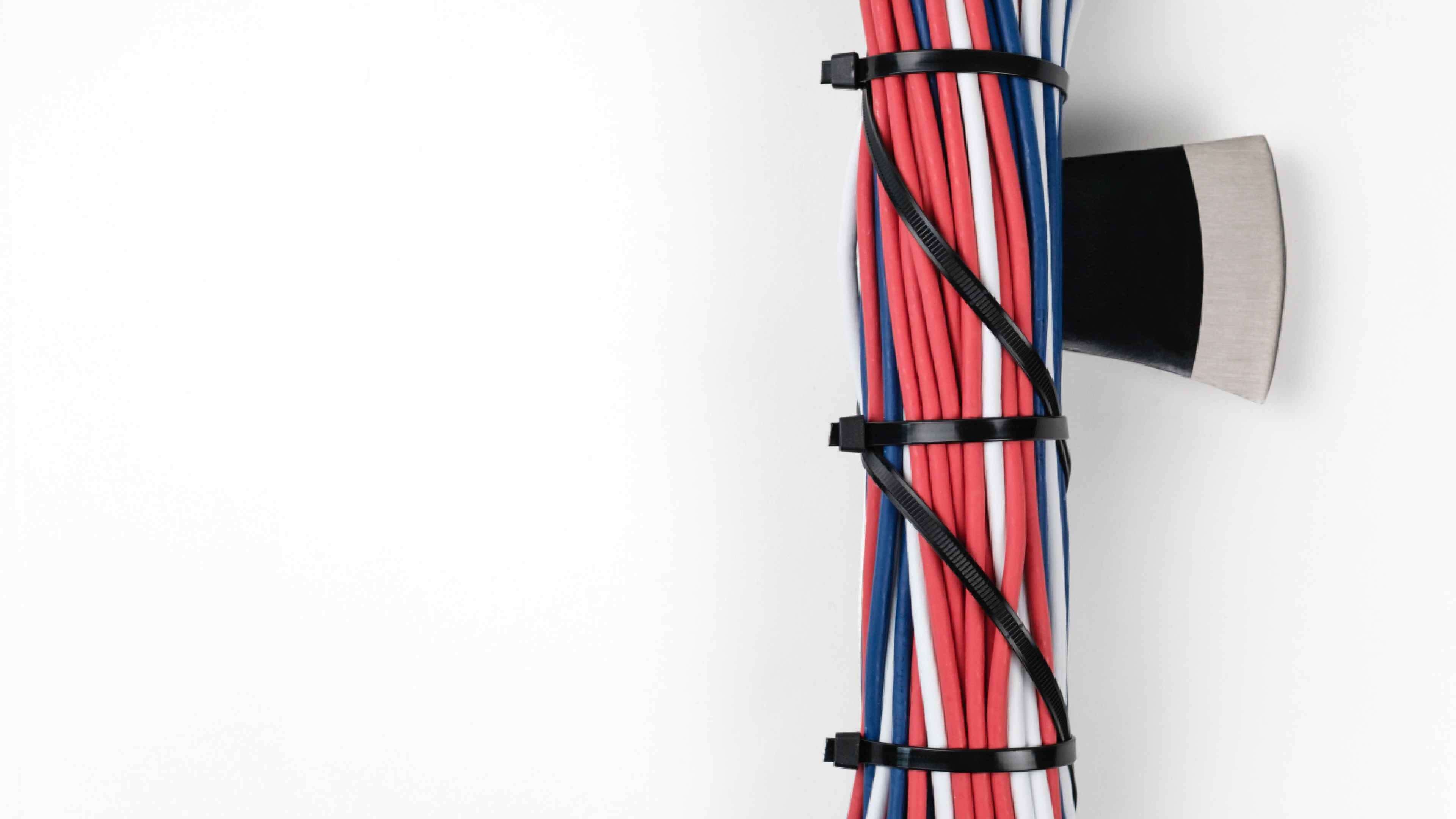 Image of a bundle of networking cables tied together with an axe head coming out of it (like the Roman "fasces"). Text reads Technofascism, Feminism, Democracy